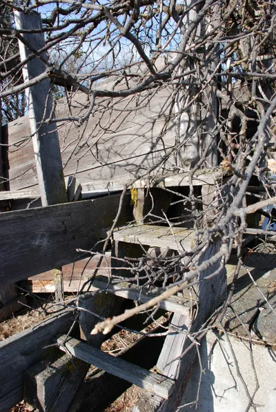 DSC_0020 (Large).JPG